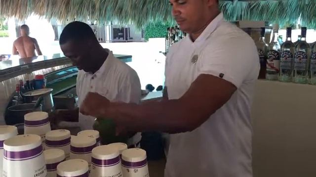 Bar en la piscina del Paradisus Palma Real смотреть онлайн