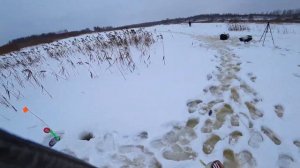 Смоленская область озеро Гранки. Ловля щуки со льда на жерлицы и не только...