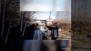 Триумф Тайгер800