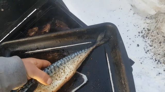 Скумбрия горячего копчения.