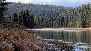 подписывайтесь на мои канал у меня много всего интересного