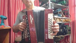 Гармонь Шуйская  "ЧАЙКА М313"