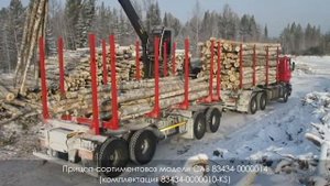 Прицеп-сортиментовоз САВ