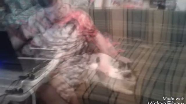 Мими и Китти и другие мими киси смотреть онлайн