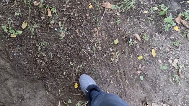 Загадил весь двор...Он был здесь! Нашла улики) Водостоки надо восстановить!