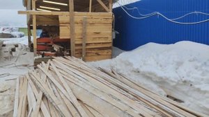 Дежурная пилорама пилит заказ, кот на работе - заметки пилорамщика