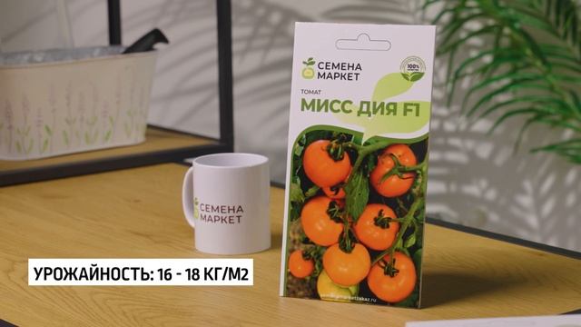 Томат МИСС ДИЯ F1 | #томаты #огород #рассада #семена смотреть онлайн