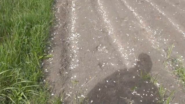 ЧТО НЕ ДОГОВАРИВАЮТ САМОДЕЛКИНЫ...ОБЯЗАТЕЛЬНО К ПРОСМОТРУ.. смотреть онлайн