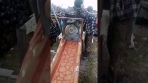 Как быстро перебрать бруснику в большом количистве