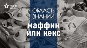 Зачем мы используем иностранные слова? Лекция лингвиста Марии Ровинской.