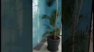 Лазаревское крытый бассейн 31.05.2022г