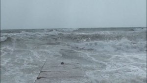 Чёрное море и шторм / Black sea and storm