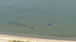 Природа Донецкого края