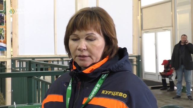 Опыт разведения коз альпийской и англо-нубийской породы