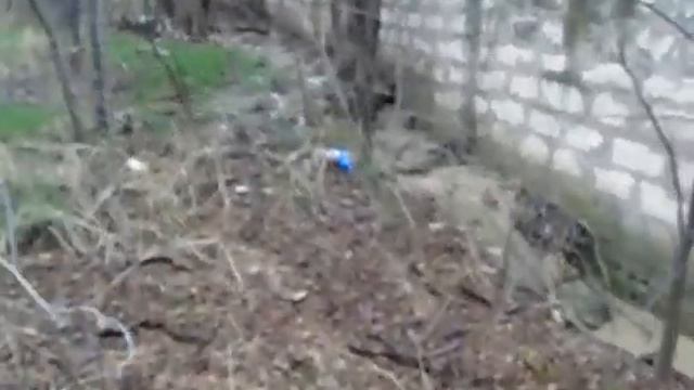 зловонная река впадает в Севастопольскую бухту смотреть онлайн