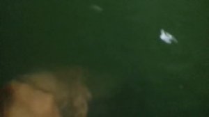 Подробный обзор узв.