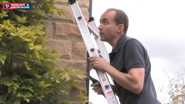 Pruning Wisteria in the Spear  Jackson Garden