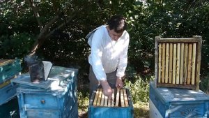 Методы отбора меда в период медосбора