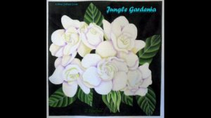 Jungle Gardenia - Mike Oldfield cover