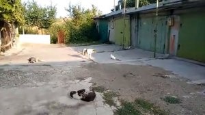 делаем плавный изгиб трубы дымохода