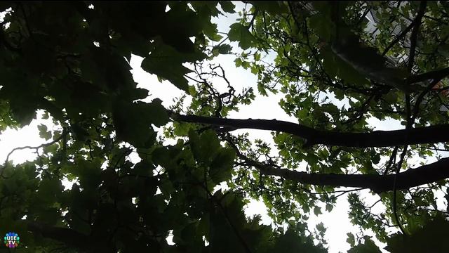 Complete Damaged, Drone Straight Flight to tree, Crashed Immediately, Hubsan Zino 2+ (not Mini Pro) смотреть онлайн