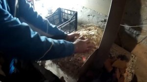 Заготовка щепы для дымогенератора холодное и горячее копчение