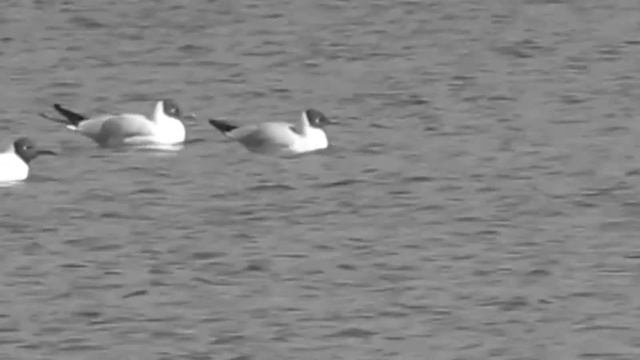 Den Kosmonavtiki смотреть онлайн