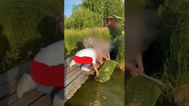 #РыбхозуВласьево#платнаярыбалка#поймалотпустил#Карпфишинг
