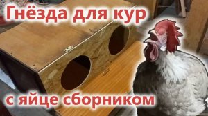 ГНЁЗДА ДЛЯ КУР 🐔 с яйце сборником из старой полировки!