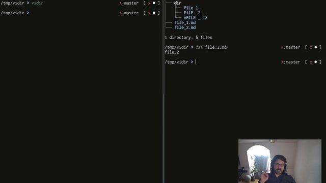 The command line vidir // Bulk rename, move, delete files and directories with your terminal editor смотреть онлайн