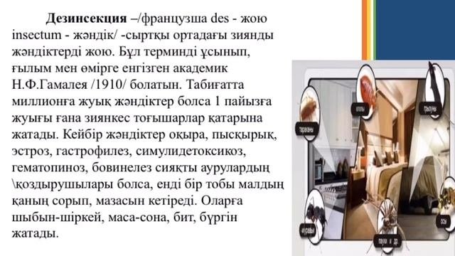 Дезинфекция, дезинсекция, дератизация. Матенова Н.М.