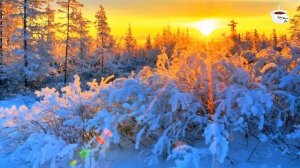 До слез красивая мелодия! Одна из самых красивых,волшебных зимних мелодий! ЗИМА, СНЕГ.ЛЮБОВЬ #2