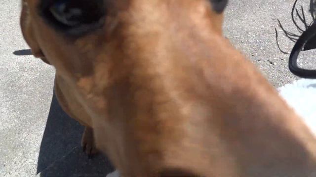 ВСЕГДА ГОТОВА И Я ВСЯ ВАША !!!!! ---------------- смотреть онлайн