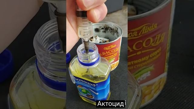 Как избавиться от виноградного клеща Инсекто-акарицид Актоцид