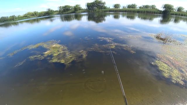 Пополнение моей коробки воблерами с AliExpress.Тестовые испытания на водоеме. #рыбалканащуку смотреть онлайн