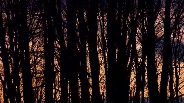 Rites of Passage - African смотреть онлайн