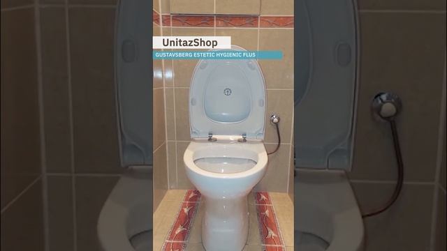 Унитаз с установкой под ключ Gustavsberg Estetic Hygienic Flus от UnitazShop