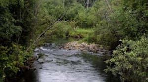 Река Большая Сарана