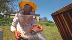 ? 500 УЛЬЕВ на ОДНОГО! Как делают Мёд? Бизнес на Пасеке! Мёд в Сотах. Пасека 2023