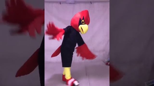 Red Cardinal Mascot Costumes Bird Animal