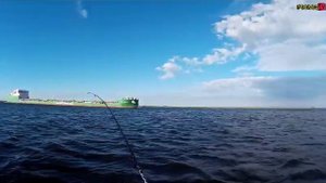 Рыбалка на реке Свирь.Выезд за судаком.Но попался только окунь.