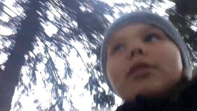 Сколько стоит Английский Кокер Спаниель и што для нево нужно