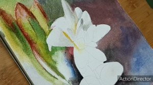 Watercolour painting / White tuberose flowers  /  Tutorial