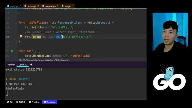 Golang Web App - Handling Requests