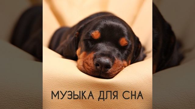 Музыка перед сном музыка для релаксации и... смотреть онлайн