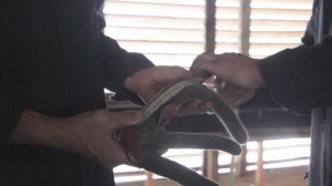 Пантовые ванны