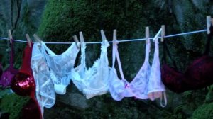 Wisewoman's Lingerie Laundry Day