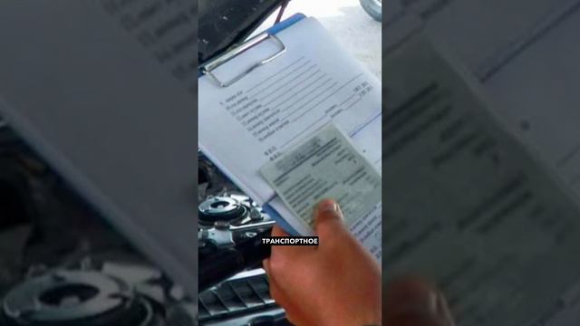 Полис ОСАГО больше не нужен?