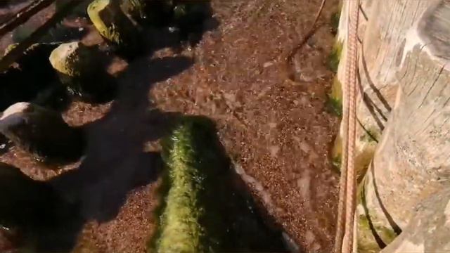 Любимая Балтика))) море, солнце, чайки... Чудесный октябрьский погожий денёк)