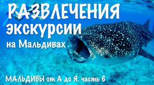 МАЛЬДИВЫ от А до Я. Часть 6. Развлечения, экскурсии.